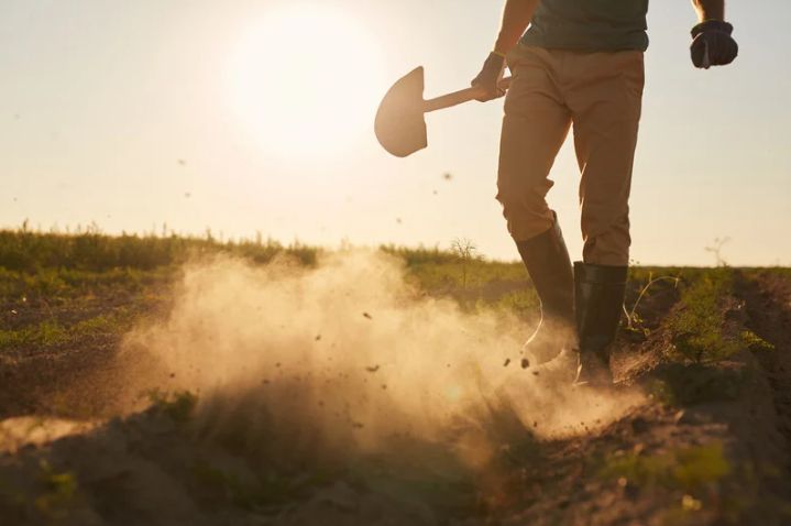 Dit winnen organisaties die ownership stimuleren